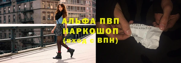молекула духа Арсеньев