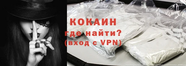 молекула духа Арсеньев