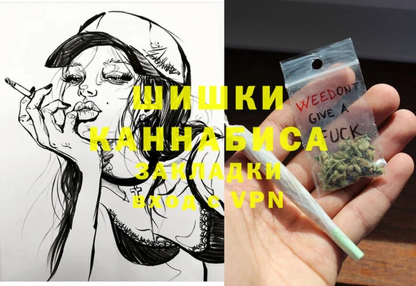 молекула духа Арсеньев