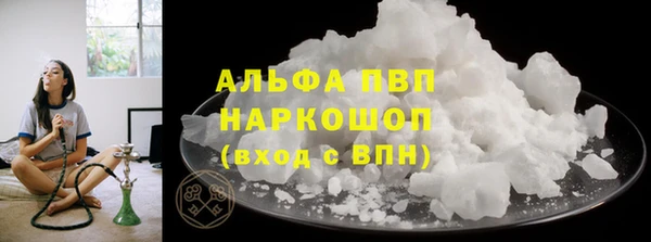 молекула духа Арсеньев