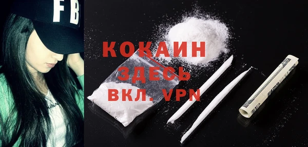 молекула духа Арсеньев